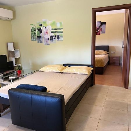 Sunshine Apartment Ioannina Extérieur photo